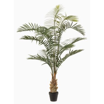 Konstgjord guldfruktpalm VOWRAN i dekorativ kruka, crossdoor, grön, 120cm Konstgjord guldfruktpalm VOWRAN i dekorativ kruka, crossdoor, grön, 120cm