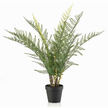 Konstväxt svärdormbunke LOWTAN i dekorativ kruka, crossdoor, grön, 65cm Konstväxt svärdormbunke LOWTAN i dekorativ kruka, crossdoor, grön, 65cm