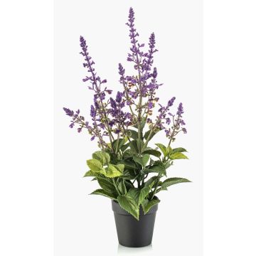 Konstväxt salvia SWORTA i dekorativ kruka, blommor, lavendel, 45cm