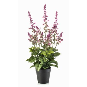 Konstväxt salvia SWORTA i dekorativ kruka, blommor, mauve, 45cm