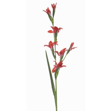 Konstgjord gladiolus GROWEL, korall, 105cm Konstgjord gladiolus GROWEL, korall, 105cm