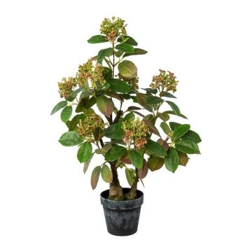 Dekorativ växt perukbuske TOLHIN, konstgjord stam, dekorativ kruka, grön-rosa, 60cm Dekorativ växt perukbuske TOLHIN, konstgjord stam, dekorativ kruka, grön-rosa, 60cm