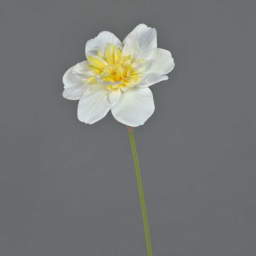 Konstblomma narcis SKROP, vit-gul, 40cm, Ø12cm