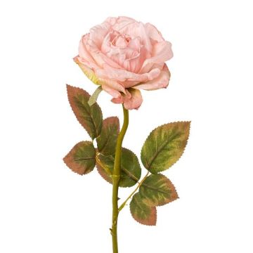 Konstblomma ros DRINT, torkad look, rosa, 60cm, Ø10,5cm