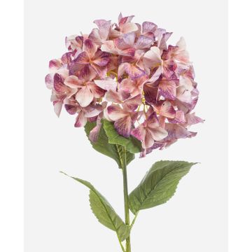 Konstgjord hortensia BRITTANY, persik-lila, 95cm, Ø28cm Konstgjord hortensia BRITTANY, persik-lila, 95cm, Ø28cm