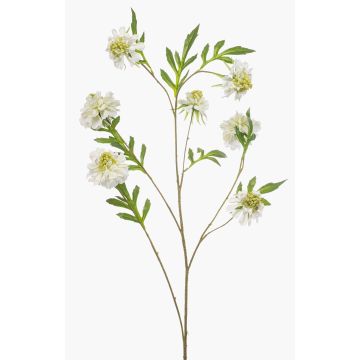 Konstgjord gren av scabiosa RUXTER, vit, 110cm, Ø7-9cm Konstgjord gren av scabiosa RUXTER, vit, 110cm, Ø7-9cm