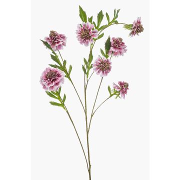Konstgjord gren Scabiosa RUXTER, ljusrosa, 110cm, Ø7-9cm Konstgjord gren Scabiosa RUXTER, ljusrosa, 110cm, Ø7-9cm