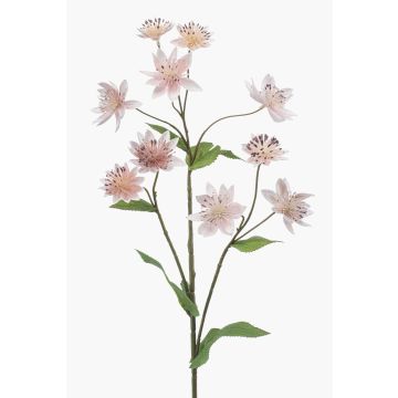 Dekorativ kvist Sterndolde JAXRON, ljusrosa, 70cm Dekorativ kvist Sterndolde JAXRON, ljusrosa, 70cm