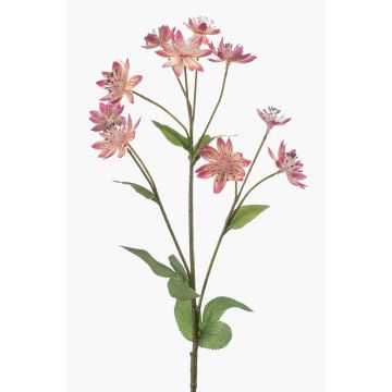Dekorativ kvist med stjärnblomma JAXRON, rosa, 70cm Dekorativ kvist med stjärnblomma JAXRON, rosa, 70cm