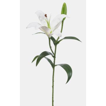 Konstgjord blomma, tigerlilja MIXLON, vit, 55cm, Ø13cm Konstgjord blomma, tigerlilja MIXLON, vit, 55cm, Ø13cm