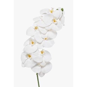 Konstgjord Phalaenopsis-orkidégren XURI, vit, 95cm, Ø12,5cm