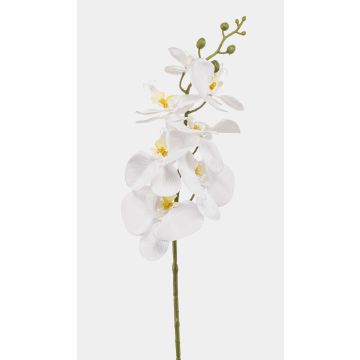 Konstgjord Phalaenopsis-orkidégren AXELOR, vit, 85cm Konstgjord Phalaenopsis-orkidégren AXELOR, vit, 85cm