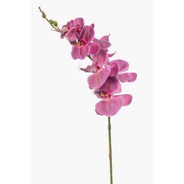Konstgjord Phalaenopsis-orkidégren AXELOR, cerise, 85cm