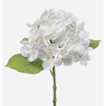 Konstgjord hortensia EXORIN, vit, 50cm, Ø17cm