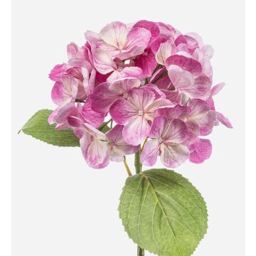 Konstgjord hortensia EXORIN, rosa, 50cm, Ø17cm