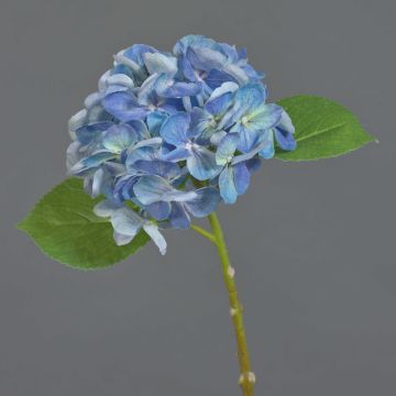 Konstgjord hortensia EXORIN, blå, 50cm, Ø17cm Konstgjord hortensia EXORIN, blå, 50cm, Ø17cm