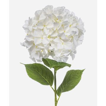 Konstgjord hortensia BRITTANY, vit, 95cm, Ø28cm Konstgjord hortensia BRITTANY, vit, 95cm, Ø28cm
