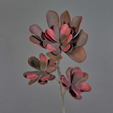 Konstgjord Echeveria tinkerbell-gren av plastskum ORALY, mörkvioletta, 95cm, Ø15-27cm Konstgjord Echeveria tinkerbell-gren av plastskum ORALY, mörkvioletta, 95cm, Ø15-27cm