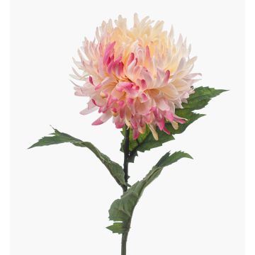 Konstgjord krysantemum SAXLER, rosa-cerise-vit, 60cm, Ø12cm