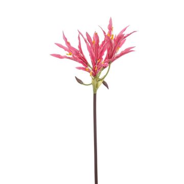 Konstgjord trädgårdsamaryllis XAVLER, rosa, 80cm