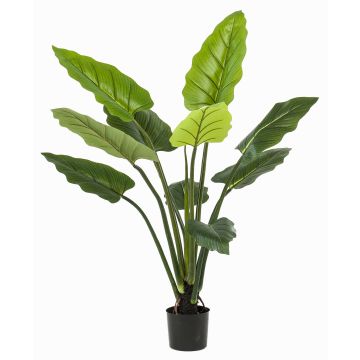 Konstgjord växt Calathea Rufibarba NUSAKAN, grön, 120cm