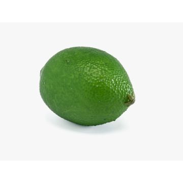 Konstgjord lime NANGA, grön, 8,5cm, Ø6cm Konstgjord lime NANGA, grön, 8,5cm, Ø6cm