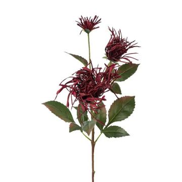 Dekorativ kvist med krysantemum MIRANE, vinröd, 70cm