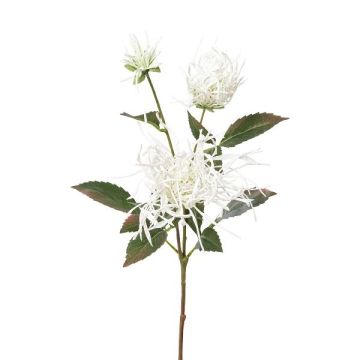 Dekorativ gren med krysantemum MIRANE, vit, 70cm