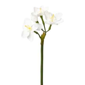Konstgjord narcissblomma VLAMOR, vit, 40cm Konstgjord narcissblomma VLAMOR, vit, 40cm
