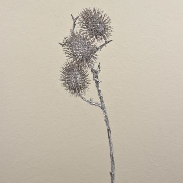 Konstgjord rambutanfruktkvist WARDA, grå-vit, 60cm