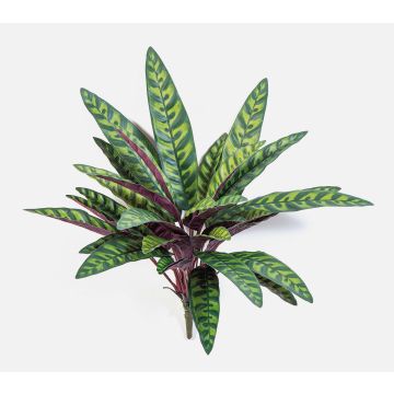 Konstgjord växt Calathea Makoyana MANAMI på stödpinne, grön-röd, 40cm