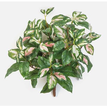 Konstgjord växt Hoya carnosa OLEANA på stödpinne, grön-vit-rosa, 40cm Konstgjord växt Hoya carnosa OLEANA på stödpinne, grön-vit-rosa, 40cm