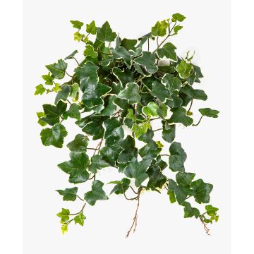 Konstgjord murgröna LINNEO på stödpinne, crossdoor, grön-vit, 50cm