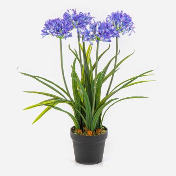 Konstgjord växt Agapanthus LESEDA i dekorativ kruka, blå, 65cm Konstgjord växt Agapanthus LESEDA i dekorativ kruka, blå, 65cm
