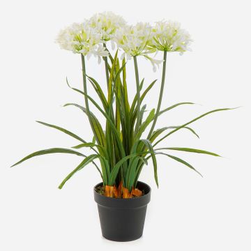 Konstgjord växt Agapanthus LESEDA i dekorativ kruka, vit, 65cm Konstgjord växt Agapanthus LESEDA i dekorativ kruka, vit, 65cm