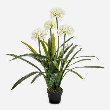 Stor konstgjord växt Agapanthus LESEDA i dekorativ kruka, vit, 105cm Stor konstgjord växt Agapanthus LESEDA i dekorativ kruka, vit, 105cm