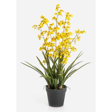 Konstblomma Oncidium-orkidé LAFILEA i dekorativ kruka, gul, 100cm