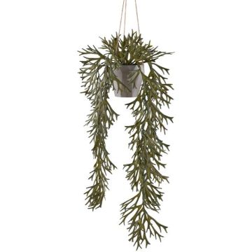 Dekorativ hängande hjortfarn i hängkruka DRIHER, dekorativ kruka, grön, 70cm Dekorativ hängande hjortfarn i hängkruka DRIHER, dekorativ kruka, grön, 70cm