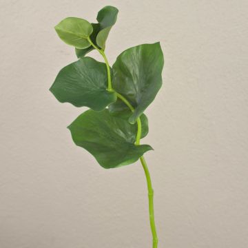 Konstgren med bronsblad GRACIANO, grön, 40cm Konstgren med bronsblad GRACIANO, grön, 40cm
