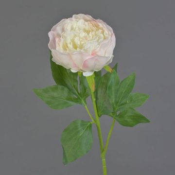 Konstblomma, pion SEDFY, kräm-ljusrosa, krämfärgad-blekrosa, 60cm, Ø10cm Konstblomma, pion SEDFY, kräm-ljusrosa, krämfärgad-blekrosa, 60cm, Ø10cm