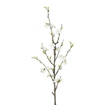 Dekorativ kvist med kvittenblommor SLORNE med blommor, vit, 85cm