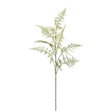 Konstgjord gren av Asparagus Plumosus PLAVIN, grön, 85cm Konstgjord gren av Asparagus Plumosus PLAVIN, grön, 85cm