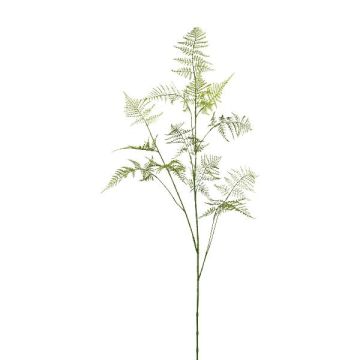 Konstgjord gren av Asparagus Plumosus PLAVIN, grön, 130cm Konstgjord gren av Asparagus Plumosus PLAVIN, grön, 130cm