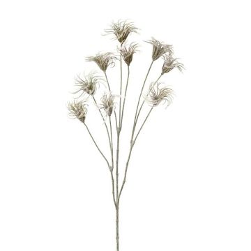 Konstgjord klematisfruktklase HARWAY, grå, 70cm, Ø7cm Konstgjord klematisfruktklase HARWAY, grå, 70cm, Ø7cm