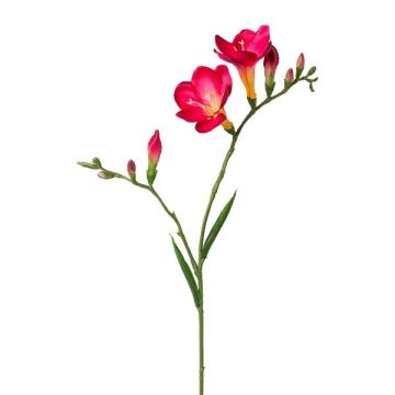 Dekorativ kvist av freesia FONDYL, cerise, 70cm Dekorativ kvist av freesia FONDYL, cerise, 70cm
