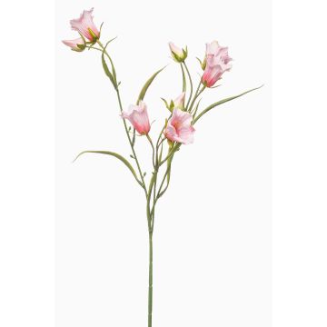 Konstgjord klockblomma EMMELY, ljusrosa, 65cm, Ø5cm Konstgjord klockblomma EMMELY, ljusrosa, 65cm, Ø5cm
