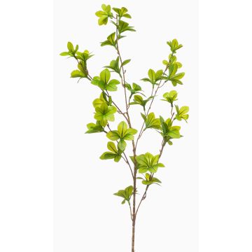Konstgjord gren av praktkapucinerkrasse TROPAL, grön, 90cm Konstgjord gren av praktkapucinerkrasse TROPAL, grön, 90cm