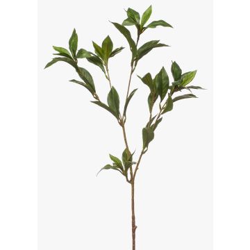 Dekorativ kvist av lagerblad ITRELK, grön, 90cm
