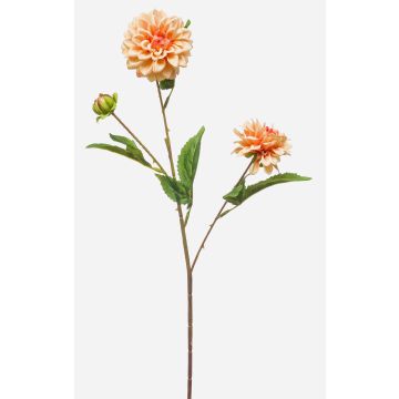 Konstgjord gren av dahlia CEVAST, persika, 70cm, Ø7-8cm Konstgjord gren av dahlia CEVAST, persika, 70cm, Ø7-8cm