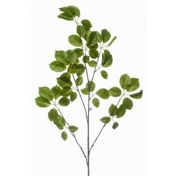 Dekorativ kvist Schefflera KRUVEN, grön, 120cm Dekorativ kvist Schefflera KRUVEN, grön, 120cm